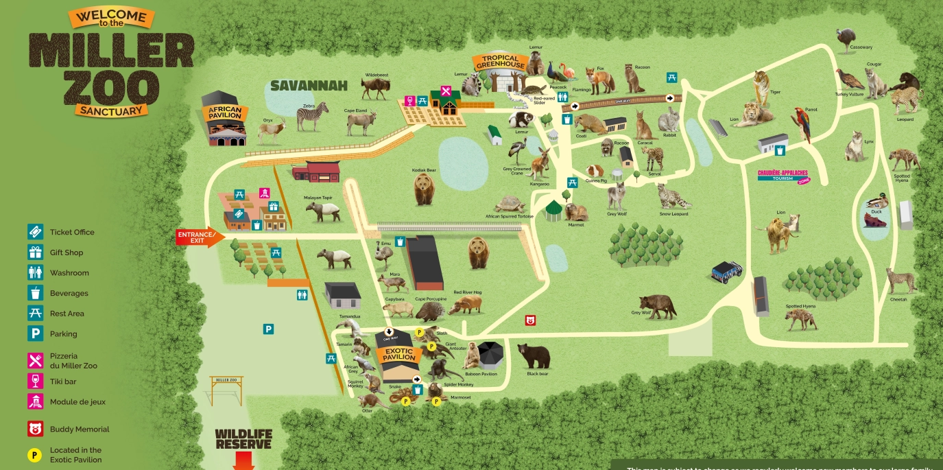 Carte Été 2026 Zoo Anglais Web 1